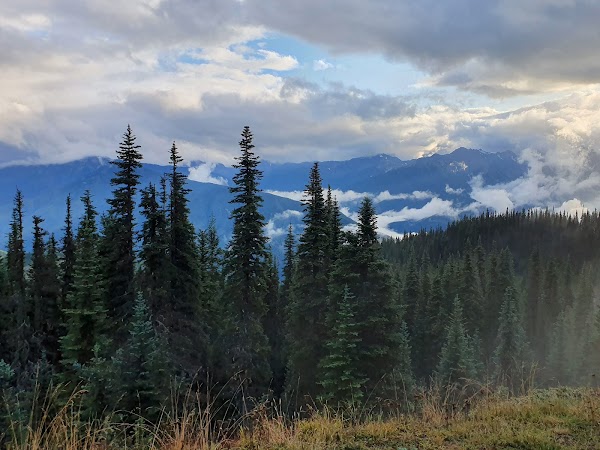 Olympic Peninsula 1