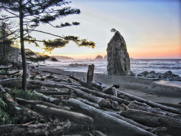 Olympic Peninsula 5