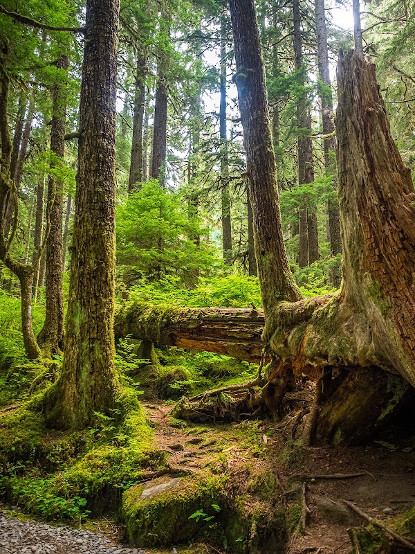 Olympic Peninsula 4
