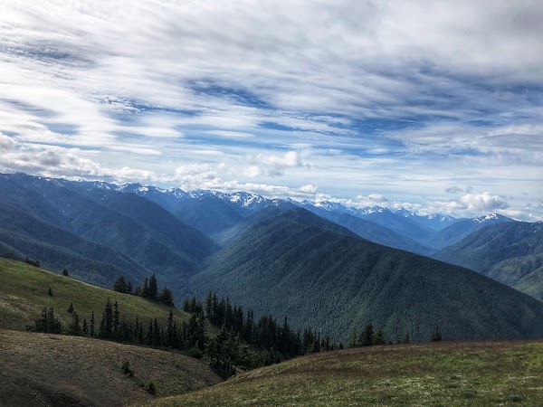 Olympic Peninsula 3