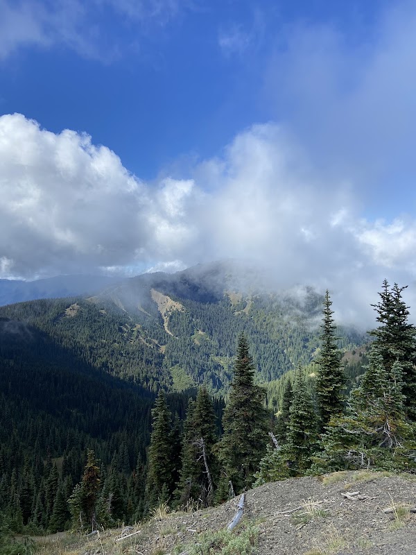 Olympic Peninsula 2