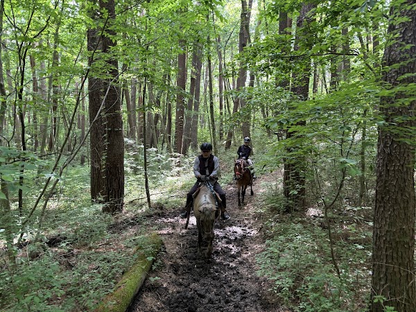 Canadian Camp Riding Club 5