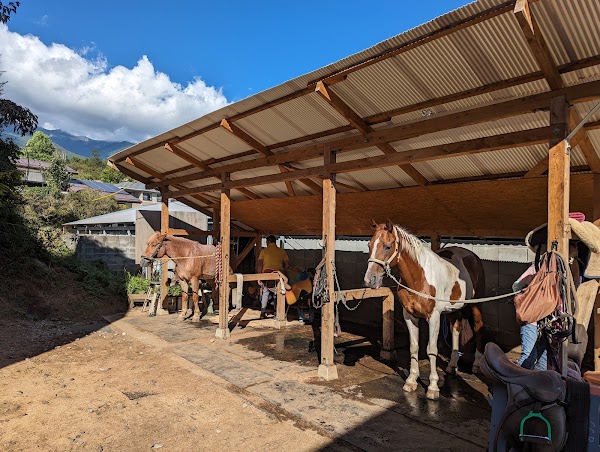 Canadian Camp Riding Club 3