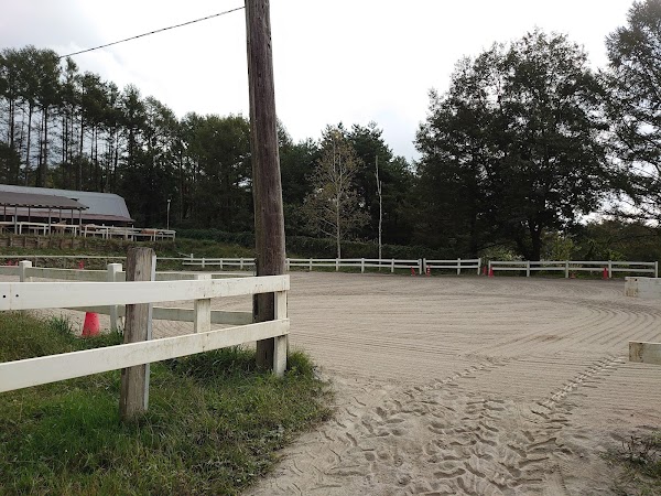 Canadian Camp Riding Club 2