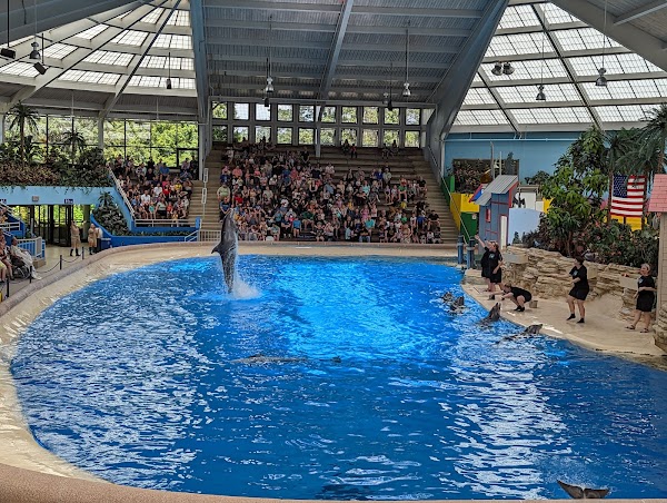 Brookfield Zoo 5