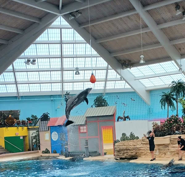 Brookfield Zoo 4