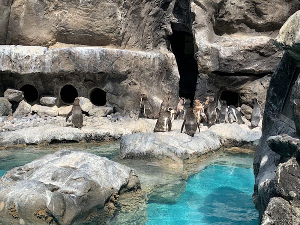 Brookfield Zoo 3