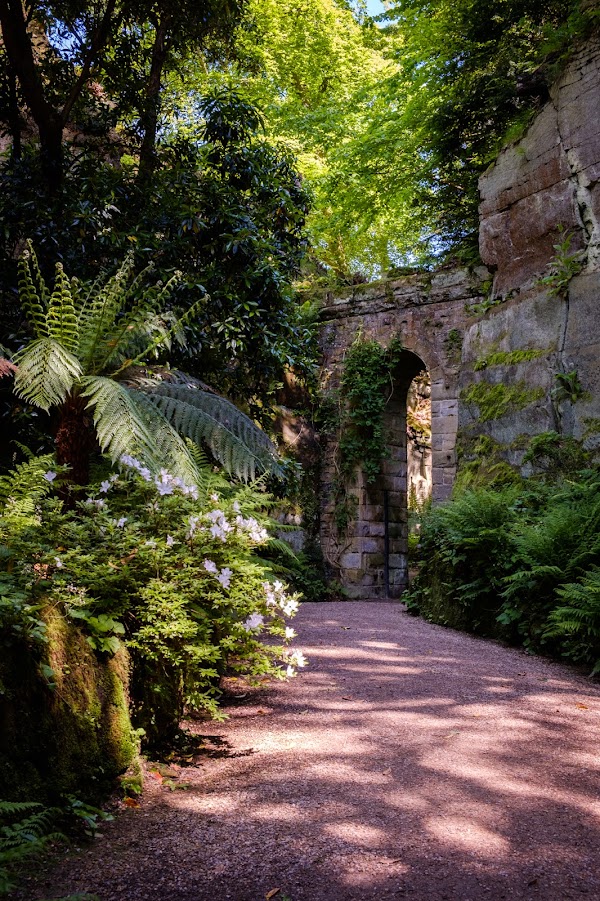 Belsay Hall Quarry Garden