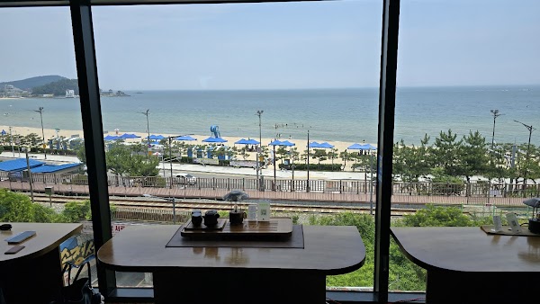 Busan 6