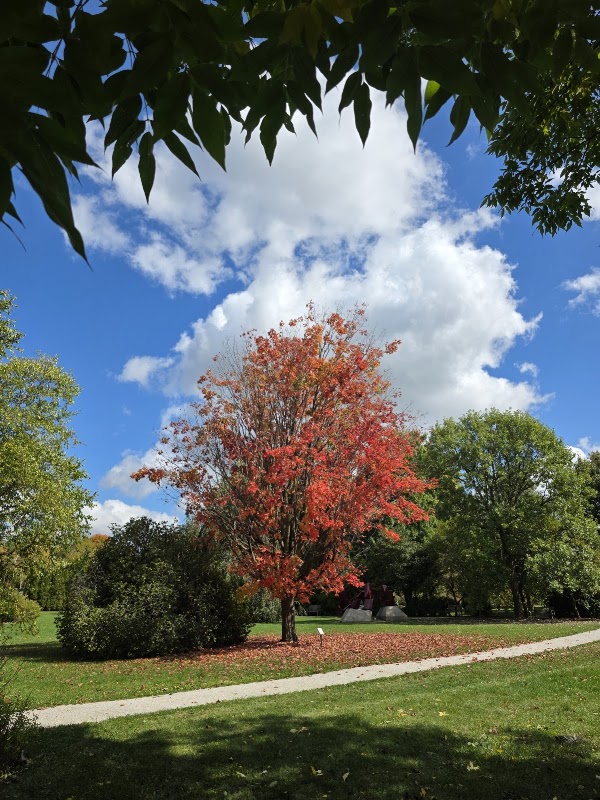 The Arboretum, University of Guelph 3
