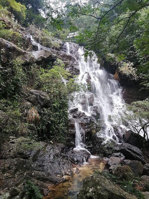 Phong Nha 4