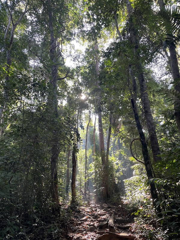 Khao Ngon Nak Nature Trail 3
