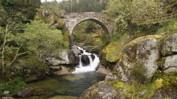 Ponte Medieval do Almofrei