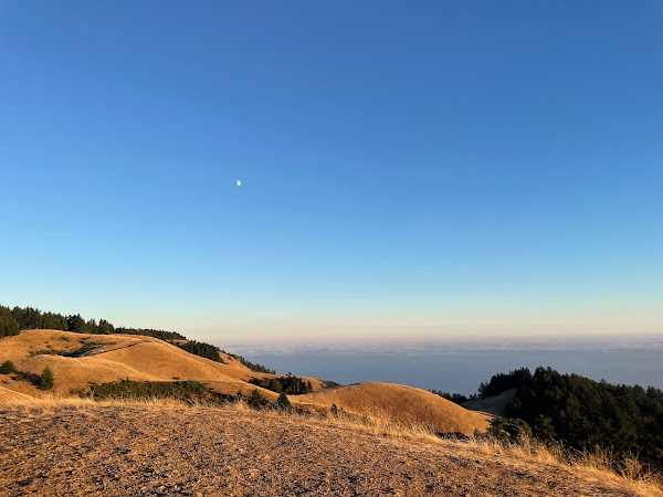 Mount Tamalpais 1