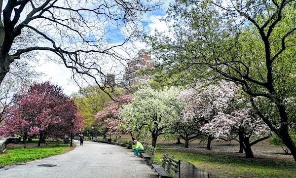 Riverside Park 4