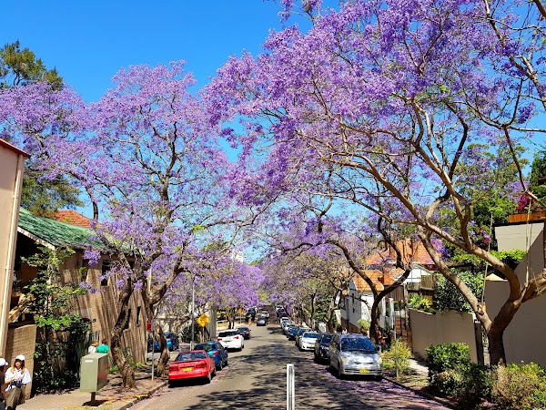 McDougall Street
