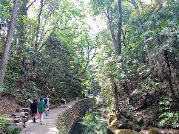 Todoroki Ravine 4