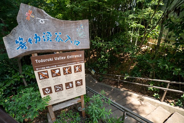Todoroki Ravine 3