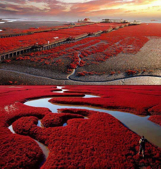 Red Beach