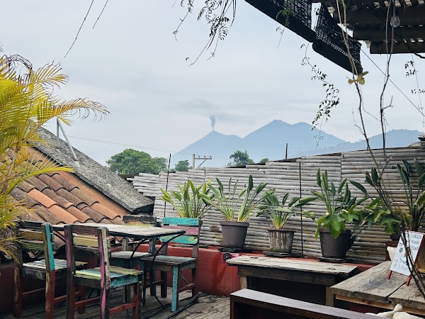 Cafe Boheme 2