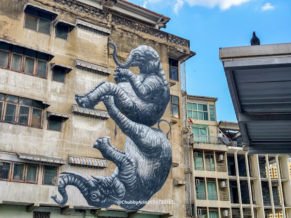 Elephants by ROA in bangkok