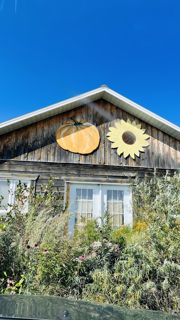 TOURNESOLS ORFORD