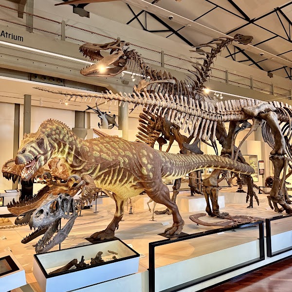 Queen Victoria Museum at Inveresk 4