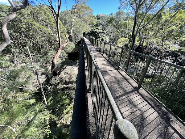 Reid Park Bridge