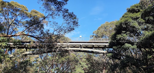 Reid Park Bridge 5