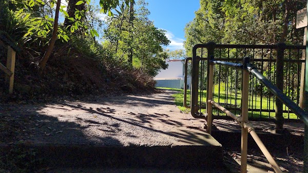 Reid Park Bridge 3