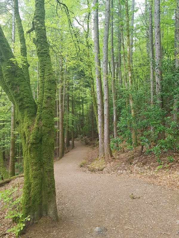 Glencoe Orbital Walk