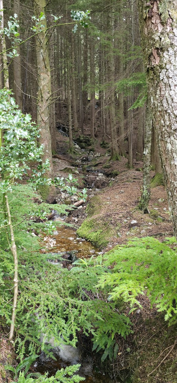 Glencoe Orbital Walk 4
