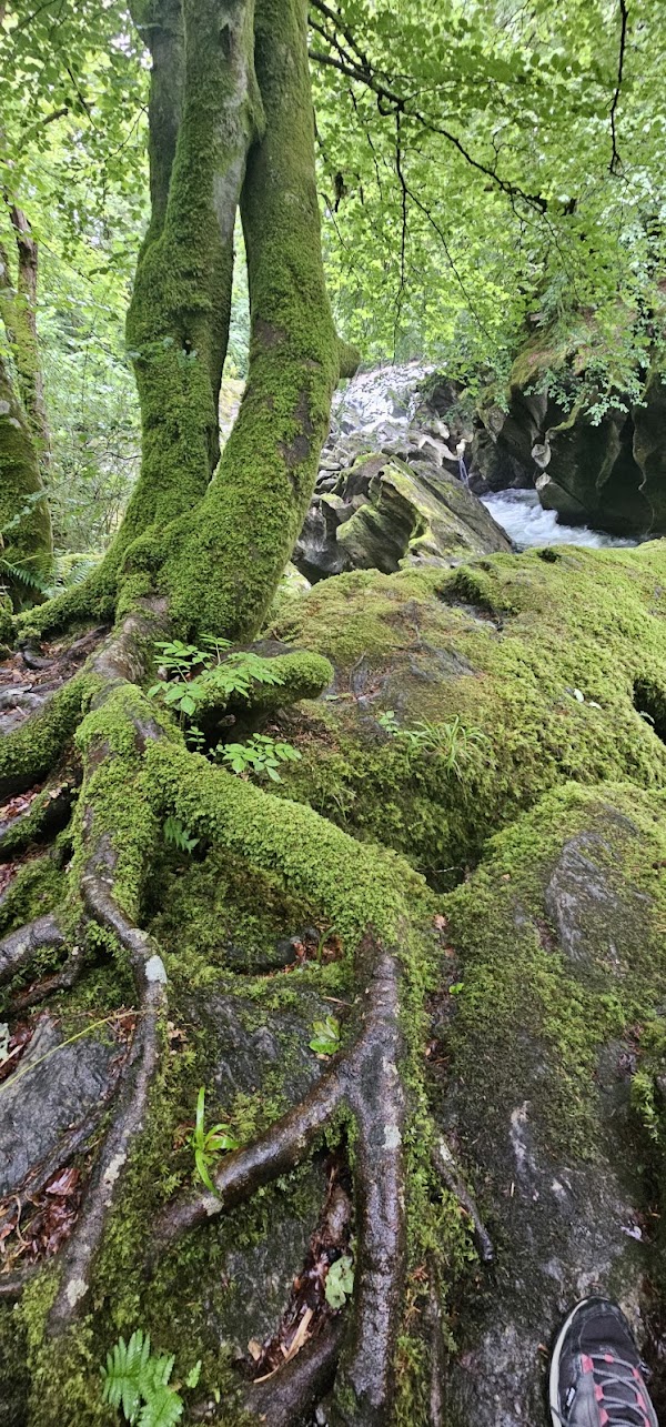 Glencoe Orbital Walk 3