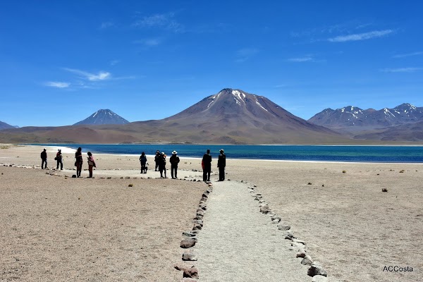 Miscanti Lake