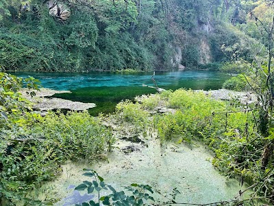 Test 59