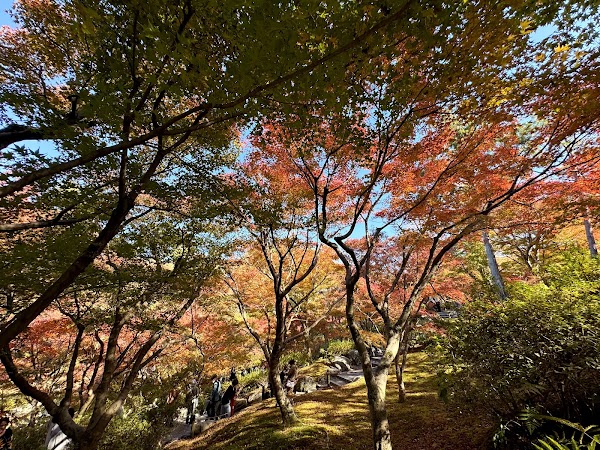 Hojo South Garden 2