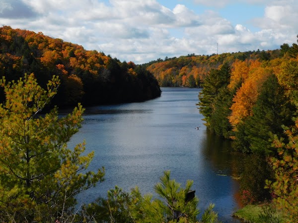 Calabogie