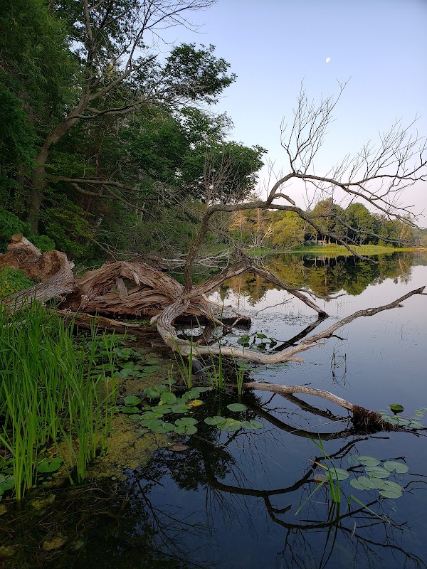 Prince Edward County 4