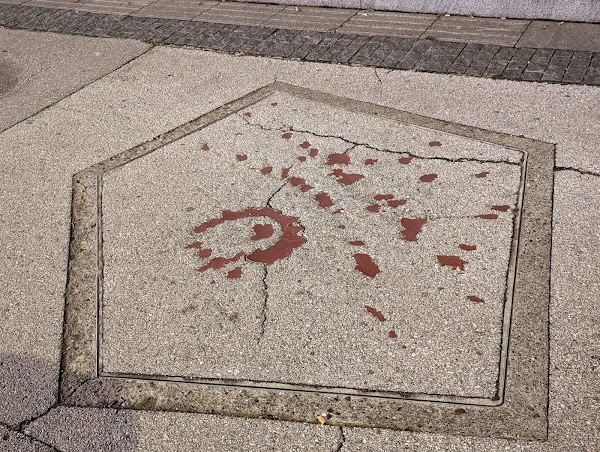Sarajevo rose