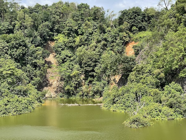 Bukit Batok Town Park 5