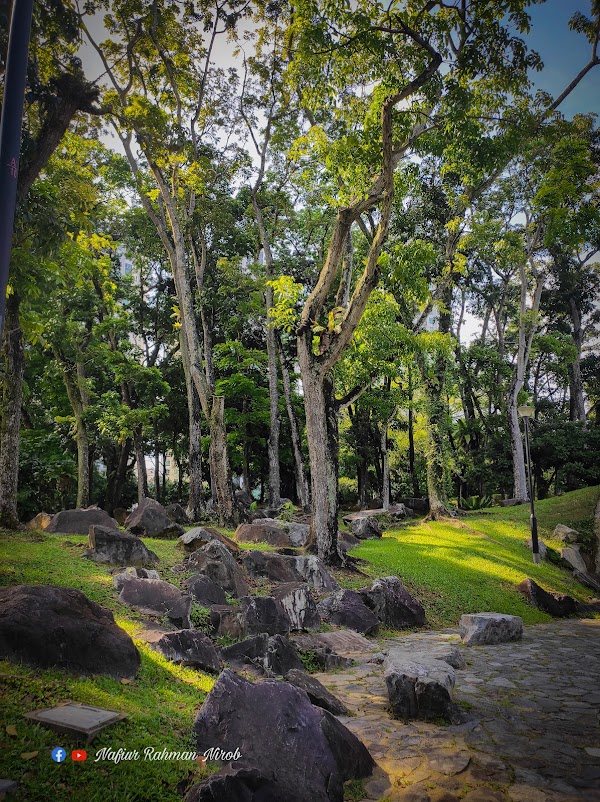 Bukit Batok Town Park 4