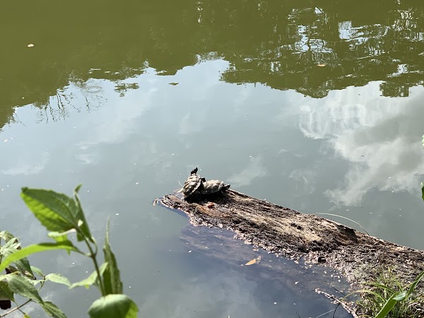Bukit Batok Town Park 2