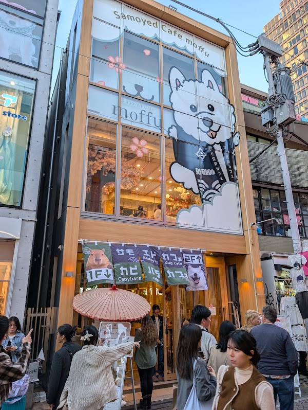 Takeshita Street 2