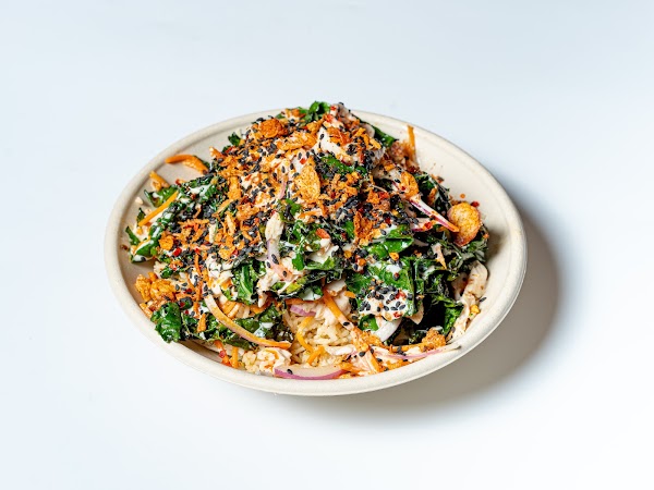 Sana Mediterranean - South Eveleigh 4