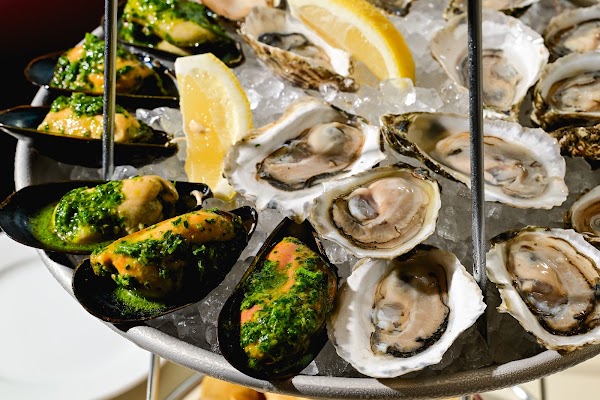 Zig Zag Oyster Bar 1