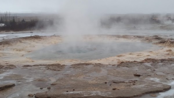 Haukadalur 5