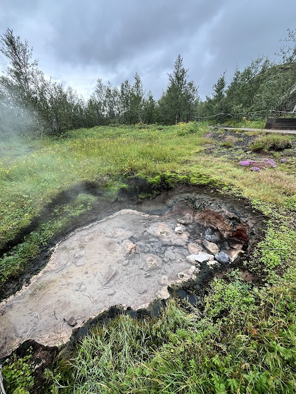 Haukadalur 2