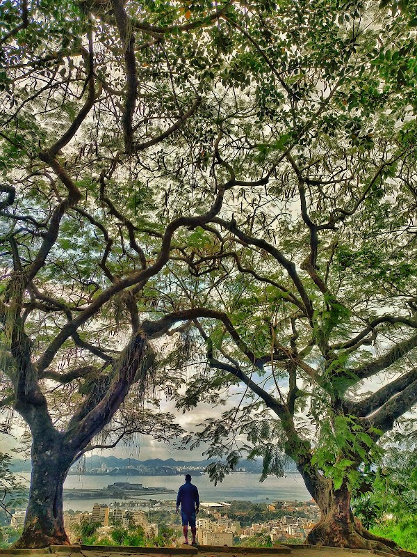 Mirante do Rato Molhado 3