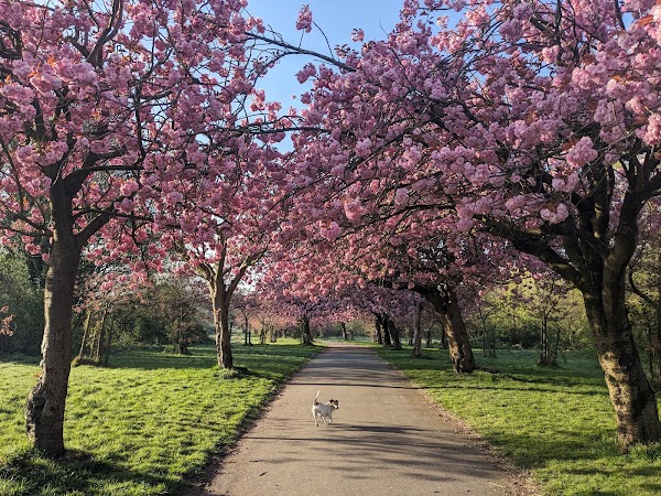 Wavertree Botanic Gardens