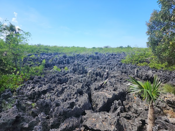 Hell, Grand Cayman 1